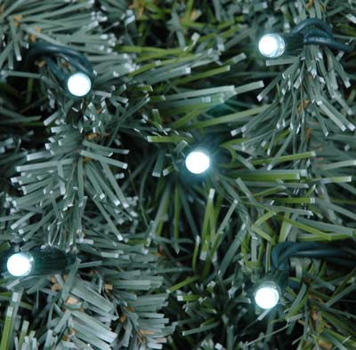 Picture of White LED Mini Christmas Lights 50 Bulb