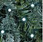 Picture of White LED Mini Christmas Lights 50 Bulb