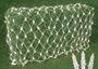 Picture of 4' X 6' Pro-Grade Net Lights - White Wire
