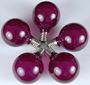 Picture of 25 G50 Globe Light String Set with Purple Bulbs on Green Wire