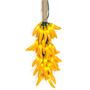 Picture of Yellow Chili Pepper Cluster Ristras 50 light
