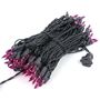 Picture of Purple Christmas Mini Lights 100 Light 50 Feet Long on Black Wire