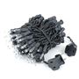 Picture of Black Wire Clear Christmas Mini Lights 100 Light 22 Feet Long