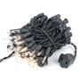 Picture of Black Wire Clear Christmas Mini Lights 100 Light 22 Feet Long