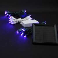 Picture for category Purple Battery and Solar Christmas Lights