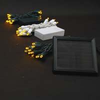 Picture for category Yellow/Gold Battery and Solar Christmas Lights