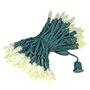 Picture of Warm White 100 LED C6 Strawberry Mini Lights Commercial Grade Green Wire