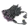 Picture of Commercial Grade Wide Angle 100 LED Purple 34' Long Black Wire