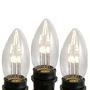 Picture of Warm White Smooth Glass C9 LED Bulbs - 25pk