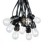 Picture of 25 Clear S14 Commercial Grade Light String Set on 37.5' of Black Wire 