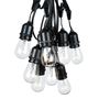Picture of 25 Clear S14 Commercial Grade Suspended Light String Set on 37.5' of Black Wire 