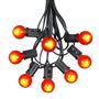 Picture of 100 G30 Globe String Light Set with Orange Satin Bulbs on Black Wire