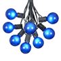 Picture of 100 G50 Globe Light String Set with Blue Bulbs on Black Wire