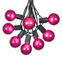 Picture of 100 G50 Globe Light String Set with Purple Bulbs on Black Wire