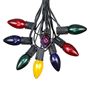 Picture of C9 25 Light String Set with Assorted Bulbs on Black Wire