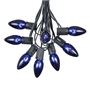 Picture of C9 25 Light String Set with Blue Bulbs on Black Wire