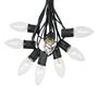 Picture of C9 25 Light String Set with Clear Bulbs on Black Wire