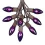 Picture of C9 25 Light String Set with Purple Bulbs on Brown Wire