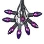 Picture of 25 Twinkling C9 Christmas Light Set - Purple - Black Wire