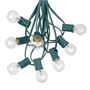 Picture of 25 G30 Globe Light String Set with Clear Bulbs on Green Wire