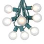 Picture of 25 G50 Globe Light String Set with Frosted Bulbs on Green Wire