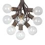Picture of 25 G50 Globe Light String Set with Clear Bulbs on Brown Wire