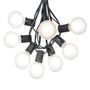 Picture of 25 G50 Globe Light String Set with Frosted White Bulbs on Black Wire