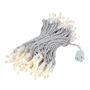 Picture of Frosted Christmas Mini Lights 100 Light 50 Feet Long on White Wire