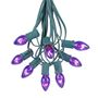 Picture of 25 Light String Set with Purple Transparent C7 Bulbs on Green Wire