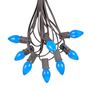 Picture of 25 Light String Set with Blue Ceramic C7 Bulbs on Brown Wire