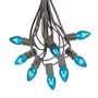 Picture of 25 Light String Set with Teal Transparent C7 Bulbs on Brown Wire