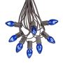 Picture of 25 Light String Set with Blue Transparent C7 Bulbs on Brown Wire