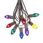 Picture of 25 Light String Set with Assorted Transparent C7 Bulbs on Brown Wire 