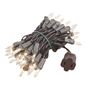 Picture of Brown Wire Clear Christmas Mini Lights 50 Light 11 Feet Long