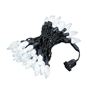 Picture of Pure White 70 LED C6 Strawberry Mini Lights Commercial Grade Black Wire