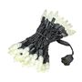 Picture of Warm White 70 LED C6 Strawberry Mini Lights Commercial Grade Black Wire