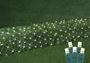 Picture of Warm White LED Net Lights 2x10 Green Wire