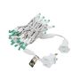 Picture of 50 LED Green LED Christmas Lights 11' Long on White Wire