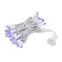 Picture of 50 LED Purple LED Christmas Lights 11' Long on White Wire