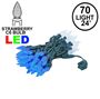 Picture of Blue and White 70 LED C6 Strawberry Mini Lights Commercial Grade Green Wire