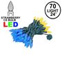 Picture of Yellow and Blue 70 LED C6 Strawberry Mini Lights Commercial Grade Green Wire