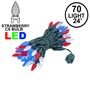 Picture of Red White & Blue 70 LED C6 Strawberry Mini Lights Commercial Grade on Green Wire