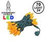 Picture of Amber 70 LED C6 Strawberry Mini Lights Commercial Grade on Green Wire