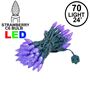 Picture of Purple 70 LED C6 Strawberry Mini Lights Commercial Grade on Green Wire