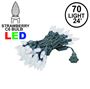 Picture of Pure White 70 LED C6 Strawberry Mini Lights Commercial Grade on Green Wire