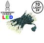 Picture of Warm White 70 LED C6 Strawberry Mini Lights Commercial Grade on Green Wire