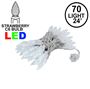 Picture of Pure White 70 LED C6 Strawberry Mini Lights Commercial Grade on White Wire