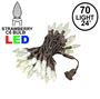 Picture of Warm White 70 LED C6 Strawberry Mini Lights Commercial Grade Brown Wire on Brown Wire