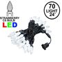 Picture of Pure White 70 LED C6 Strawberry Mini Lights Commercial Grade Black Wire