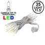 Picture of 35 Light Traditional T5 Warm White LED Mini Lights White Wire